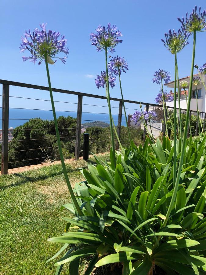 Villa Oasis Costa Brava Lloret de Mar Luaran gambar